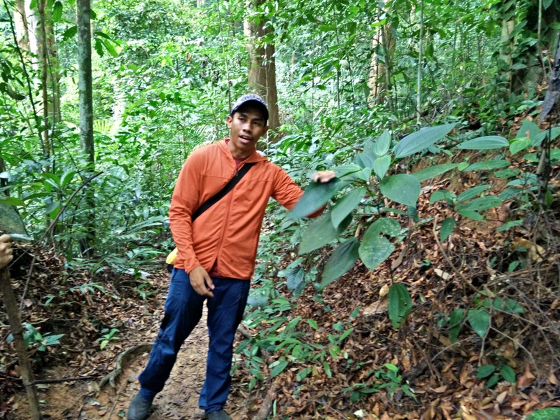 0990 IMG20151107151135